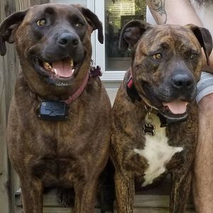 Meet your Posher, Stacy